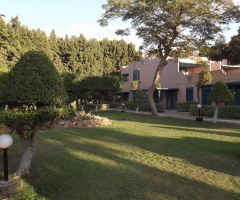 Egypt  - Cairo 