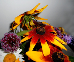 BLÜTEN