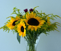 BLUMEN