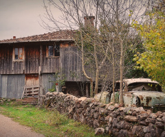 YAŞAMDAN