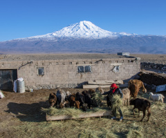 Ağrı Dağı