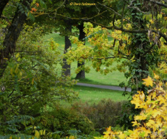 last fall