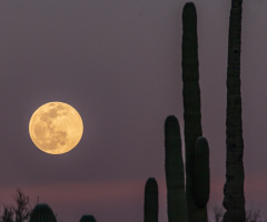 Super Snow Moon From Tucson Arizona