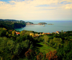 AMASRA
