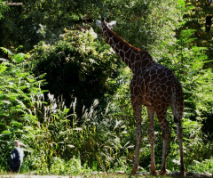 small and large