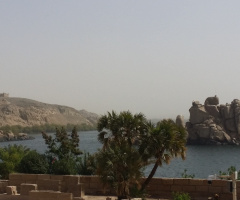 Egypt  - Aswan  - Nile River 