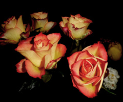 BLÜTEN