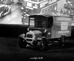 Minicix Life  1929 thorn