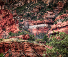 Sedona Arizona
