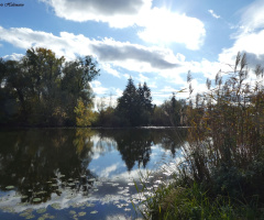 Nature reserve Saumseen in Karlsruhe / Germany