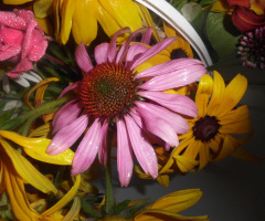BLÜTEN