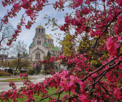Colorful spring in my city