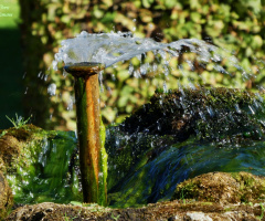 fountain