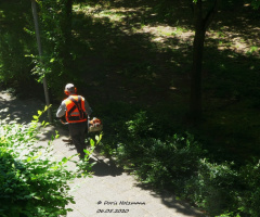 Horticultural work 