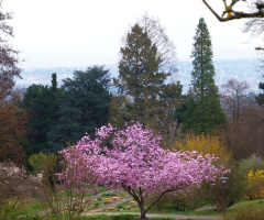 Höhenpark Killesberg, Stuttgart / Germany 