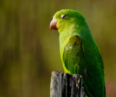 With closed eyes