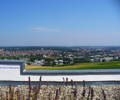 View of Aalen
