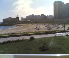 Egypt  - Alexandria