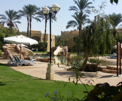 Egypt  - Alain alsokhna