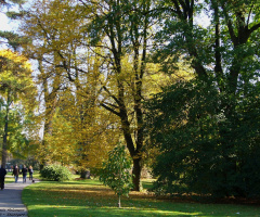 Park in Stuttgart / Germany / 2008