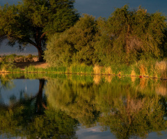 More Reflections