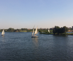 Egypt  - Cairo  - NILE RIVER 