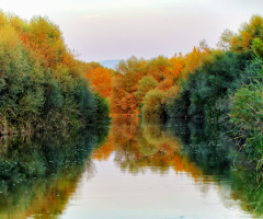 Yansımalar