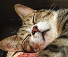 Sleep time