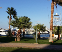 Egypt  - Hurghada