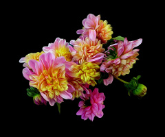 BLÜTEN