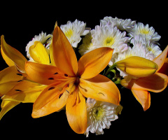 BLÜTEN