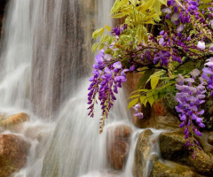 Natureza 