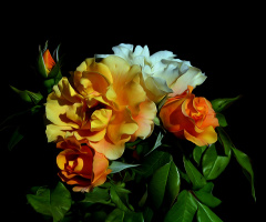 ROSEN