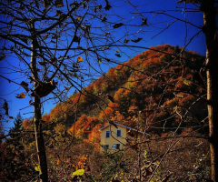 Giresun'da Sonbahar