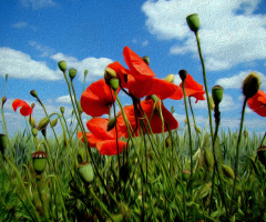BLÜTEN