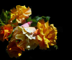 ROSEN