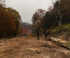 Orman İşçileri