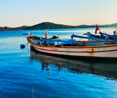 Doğa