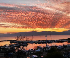 Urla / Özbek / Akkum 