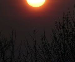 sunrise