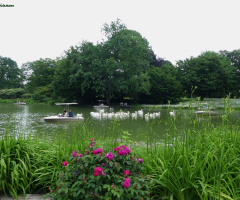 Zoological city garden in Karlsruhe / Germany