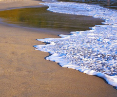 Waves