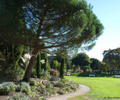Botanical Garden, Karlsruhe / Germany