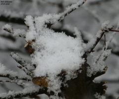 Yesterday - a little bit of snow 