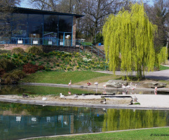 Höhenpark Killesberg, Stuttgart / Germany 