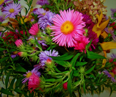 BLÜTEN