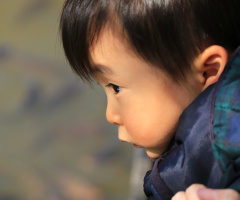 Looking eye