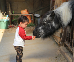 feeding
