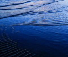 wave
