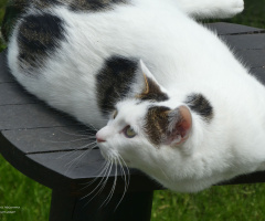 Bird watching ;-)